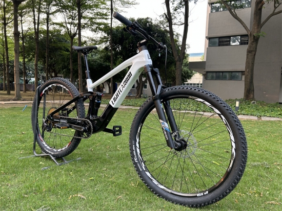 Bafang M820 e bike frame